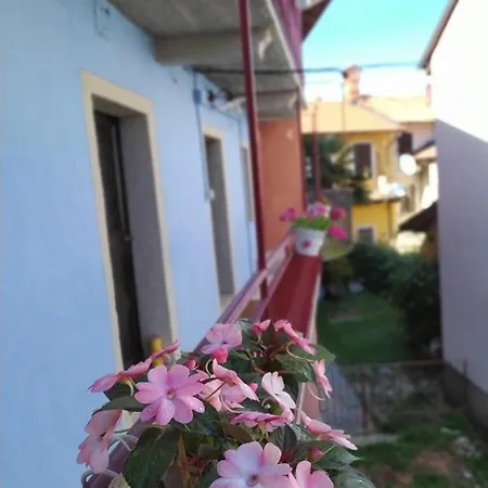 Dom wakacyjny La Celestina *